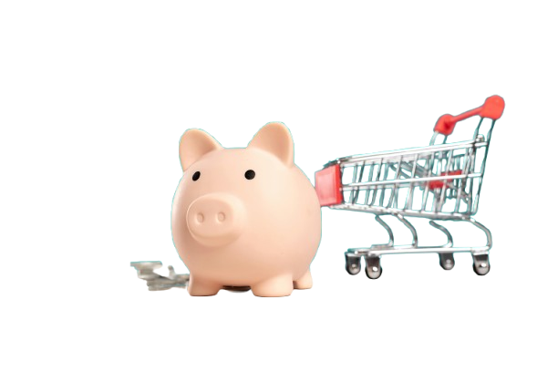 Save Money with Our Competitive Shipping Rates